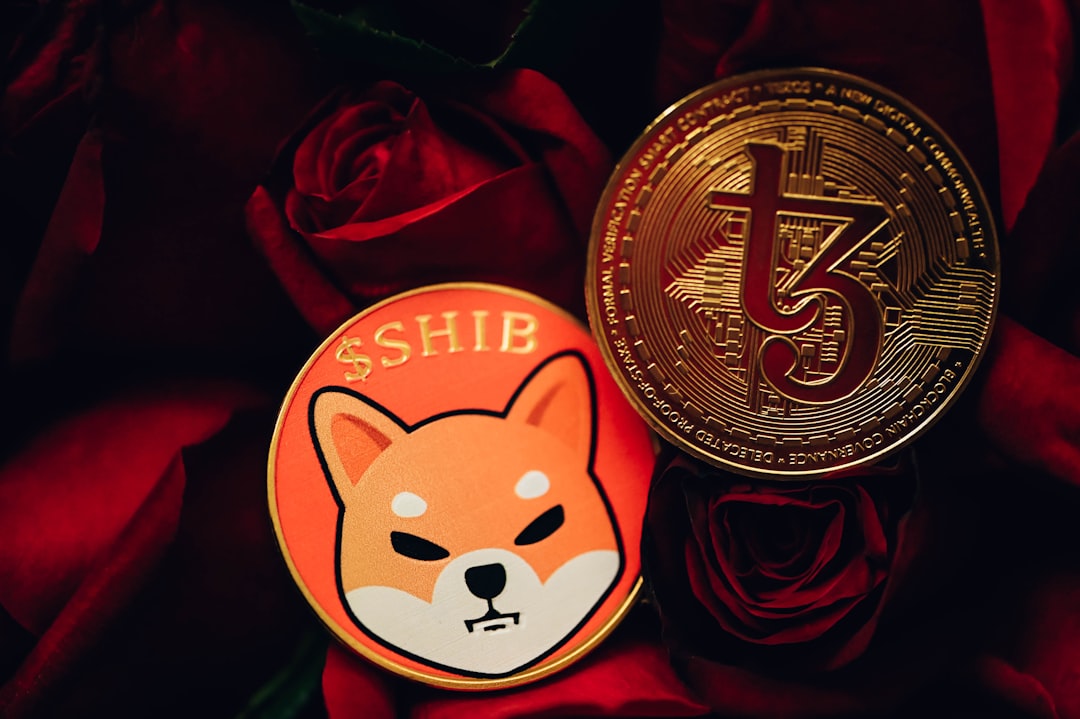 Shiba Inu: что мешает росту и реален ли обвал до нуля?