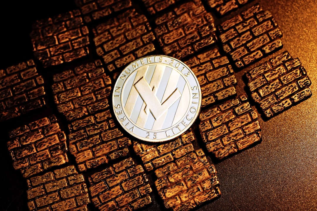 Bakkt меняет курс: ставка на стейблкоины на фоне обвала выручки на 77%