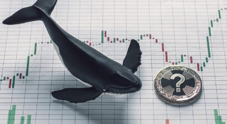 Интенсивная активность крупных инвесторов в биткоине и альткоинах после публикации данных об инфляции! Подробности